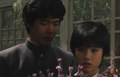 初々しい原田知世の映画「時をかける少女」あらすじと感想「結末に違いあり」